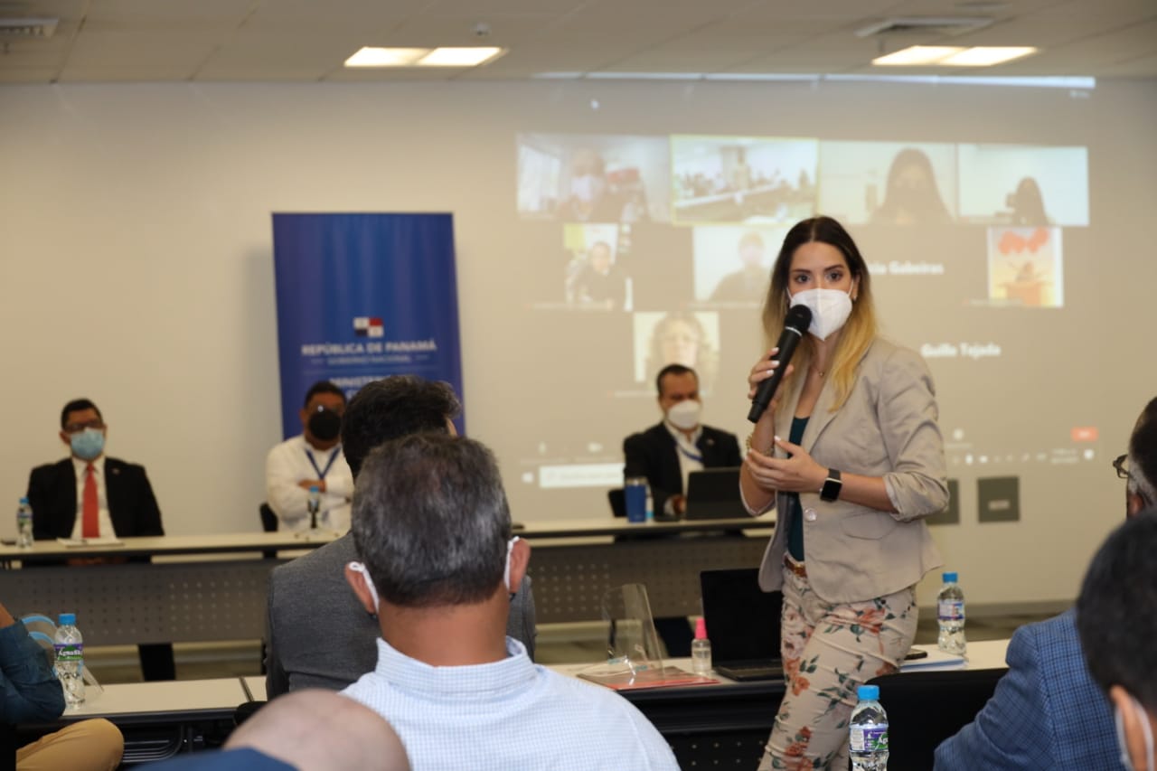 Religious and Cultural Gremits in Consensus to Prepare Law of Artists