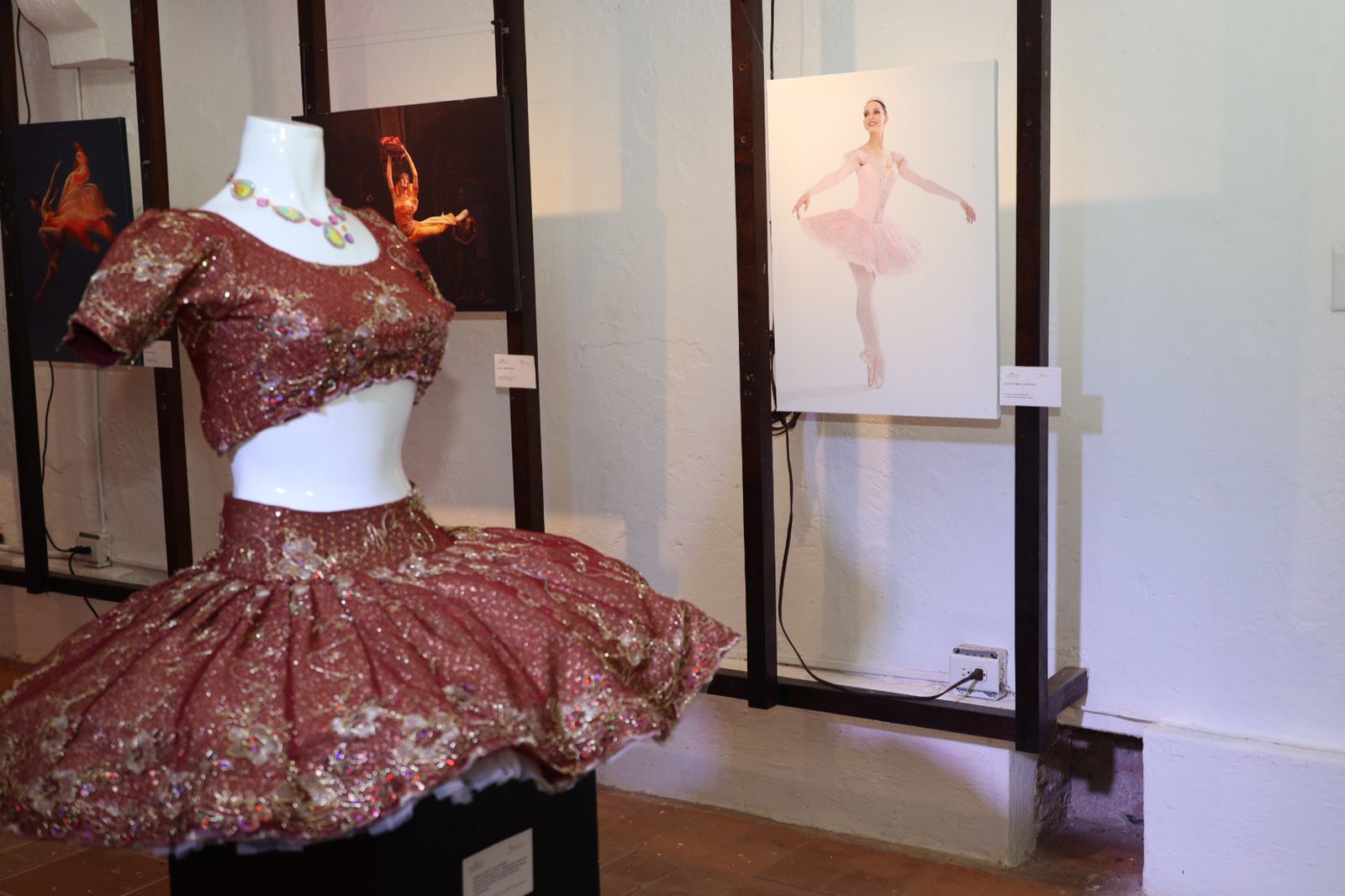 They display images telling the story of the 50-year-old National Ballet of Panama