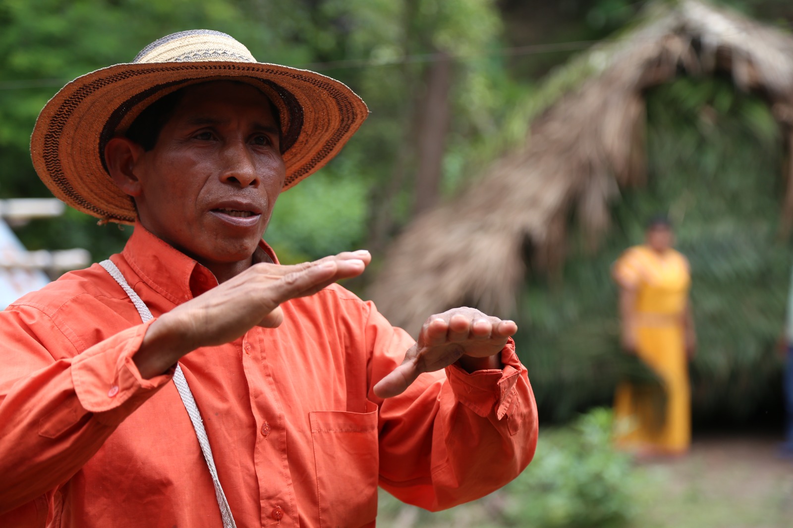 < strong > At regional level they seek projects to preserve indigenous languages < / strong >