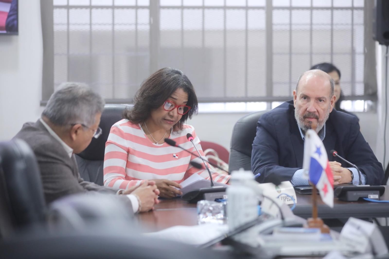 Budget Commission approves move of items to strengthen cultural projects