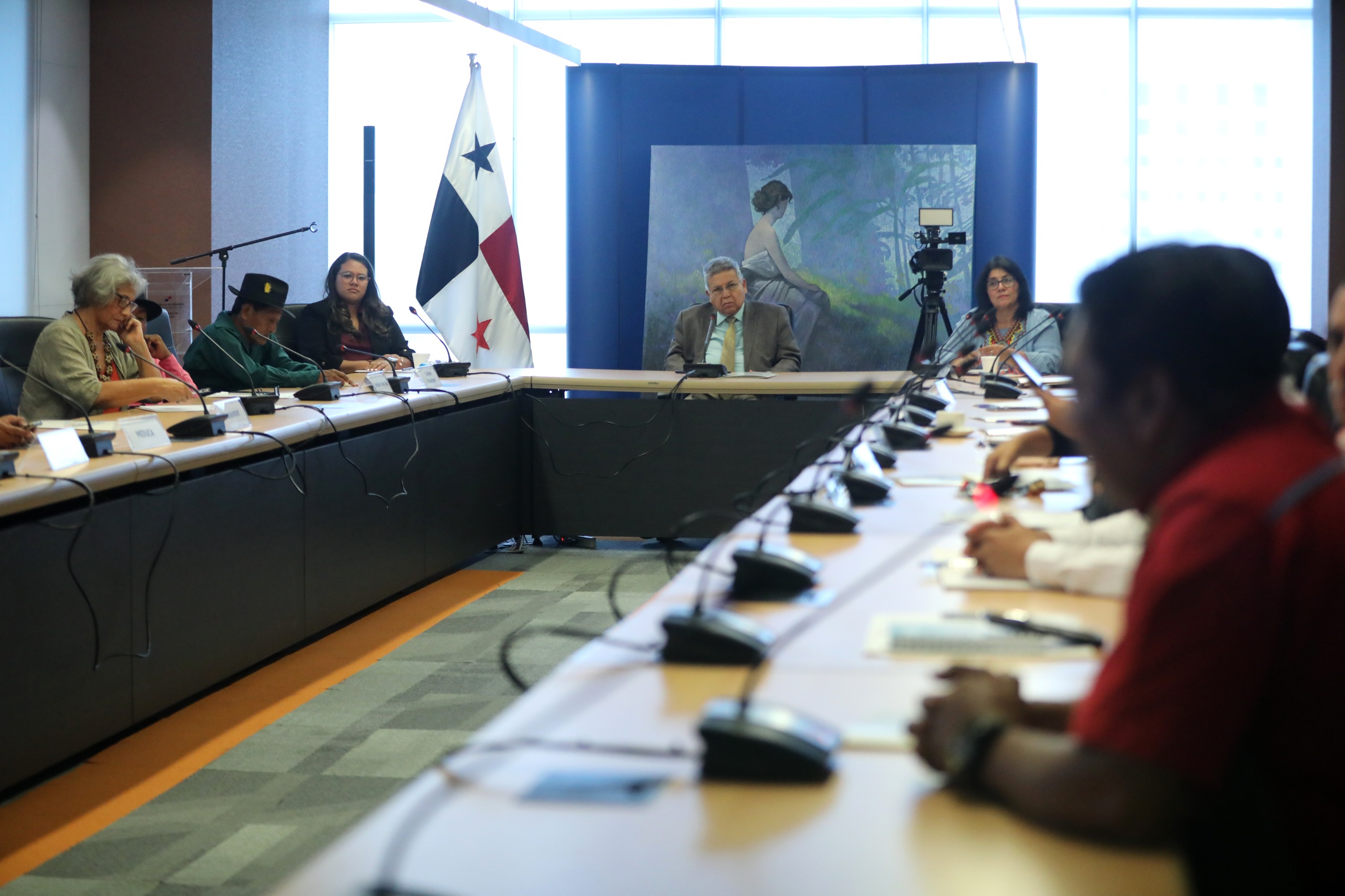 < strong > The National Council for the Decade of Indigenous Languages < / strong >