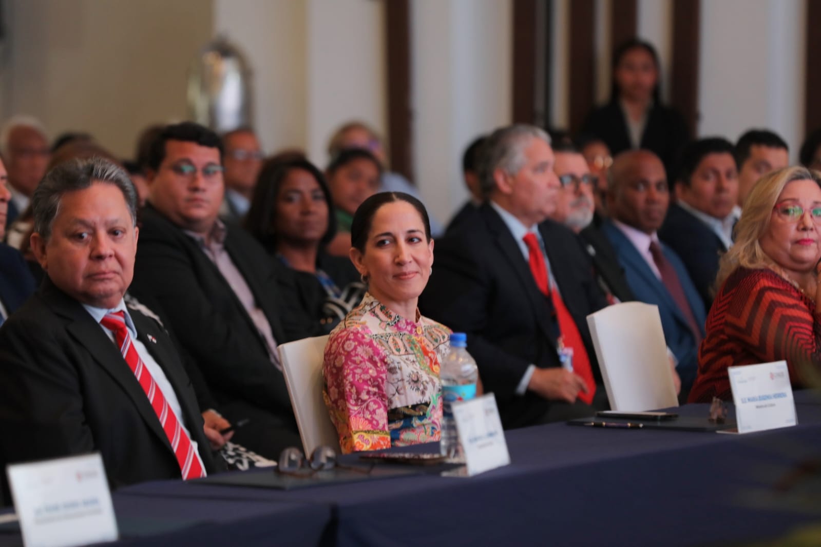 Minister of Culture presents advances in cultural and sports inclusion with CONADIS