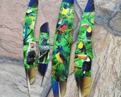 Humberto Martínez
Coclé