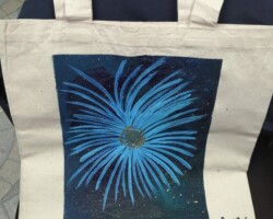 Xenia Contreras
Colón